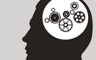 Why Facts Fail: How to Actually Change Minds About Abortion
