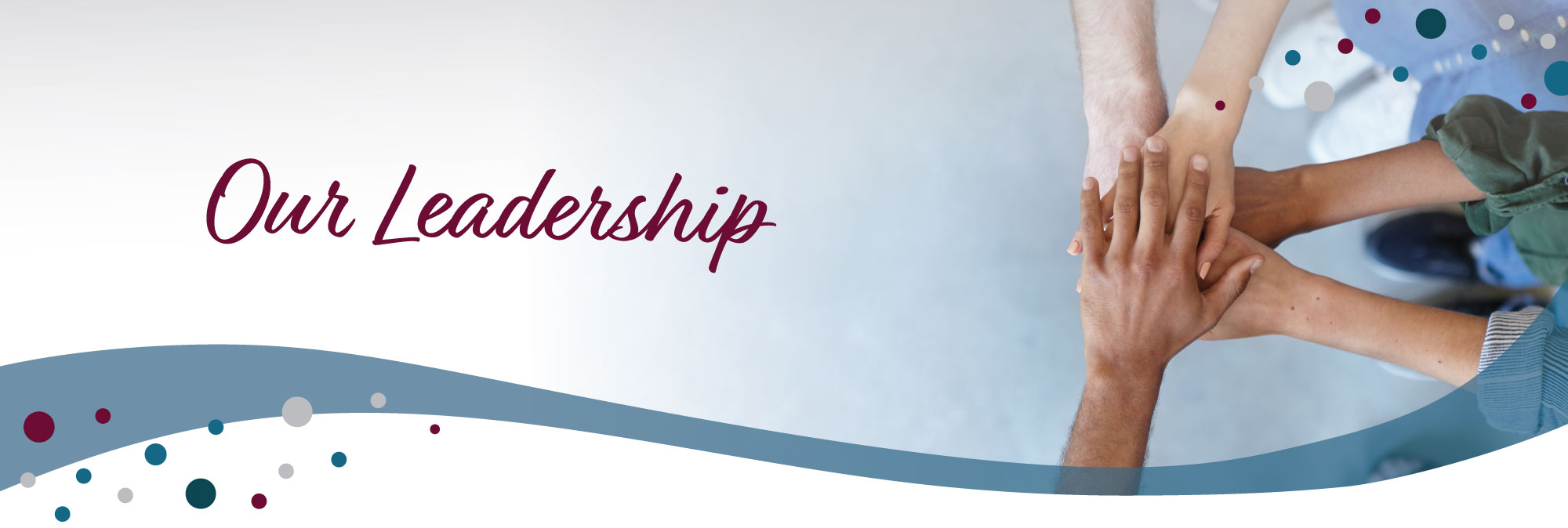 Vitae header ABOUT US